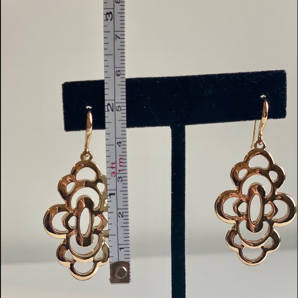 Statement Earrings - image 6